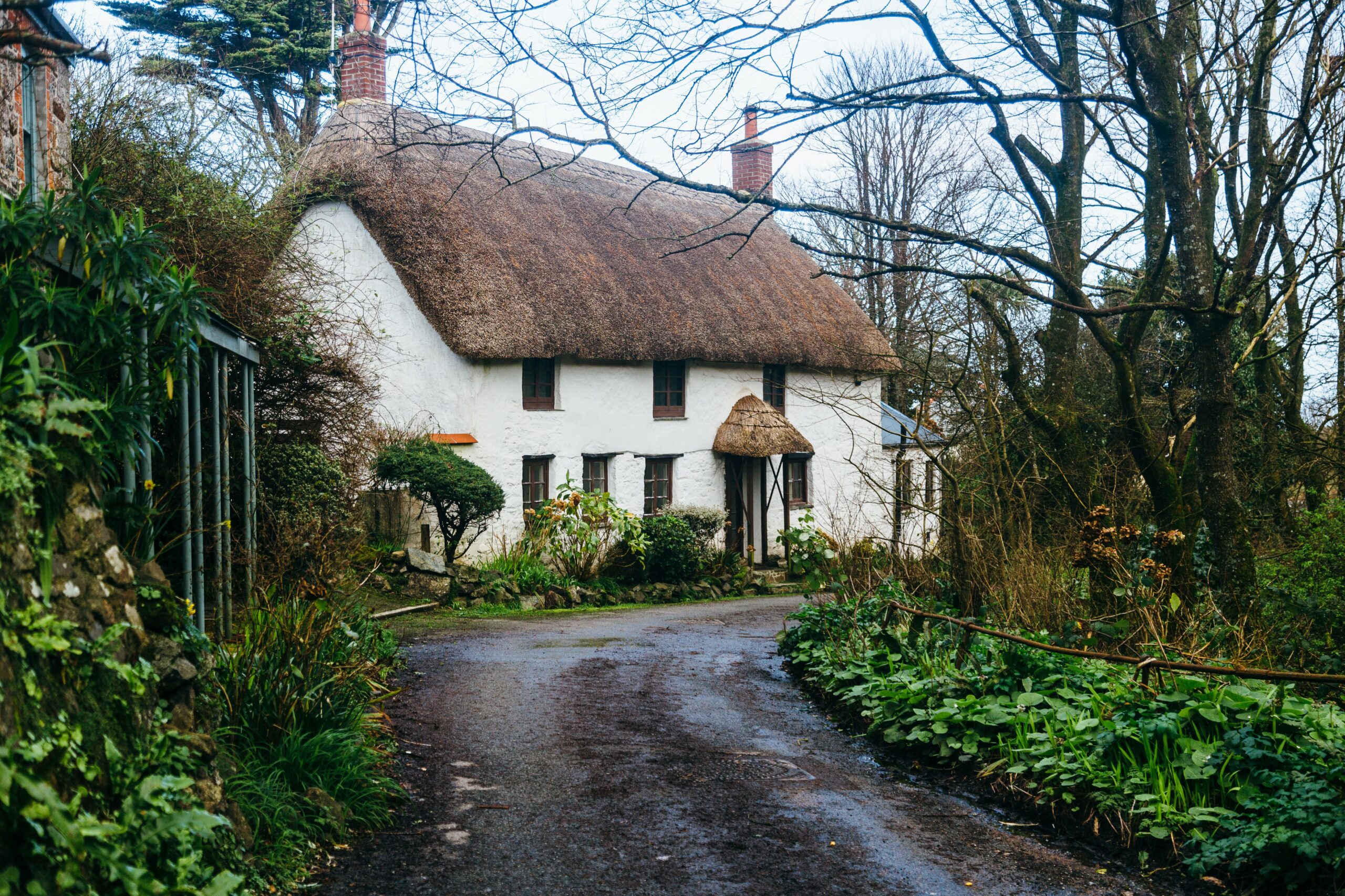 lawn preparation